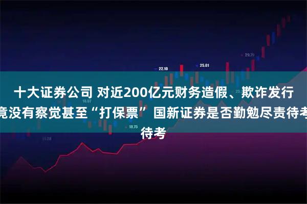 十大证券公司 对近200亿元财务造假、欺诈发行竟没有察觉甚至“打保票” 国新证券是否勤勉尽责待考