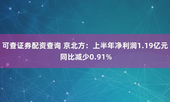 可查证券配资查询 京北方：上半年净利润1.19亿元 同比减少0.91%