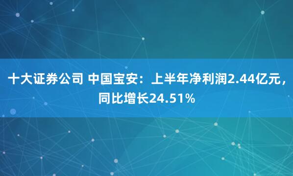 十大证券公司 中国宝安：上半年净利润2.44亿元，同比增长24.51%