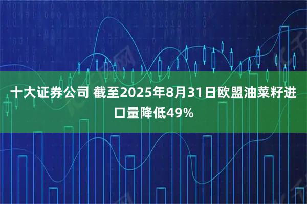 十大证券公司 截至2025年8月31日欧盟油菜籽进口量降低49%