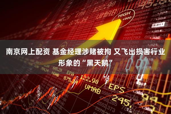 南京网上配资 基金经理涉赌被拘 又飞出损害行业形象的“黑天鹅”